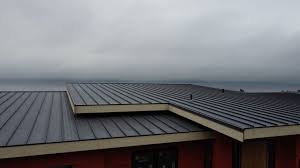 Best Sheet Metal Roofing  in Ledgewood, NJ